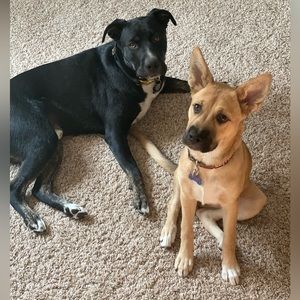 Meet your Posher, Linda